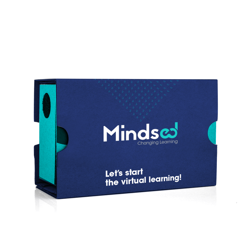 Mindsed's VR Cardboard glasses