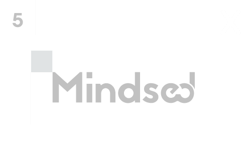Mindsed logo security space