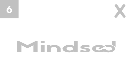Mindsed logo misuse